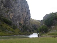 NZ view