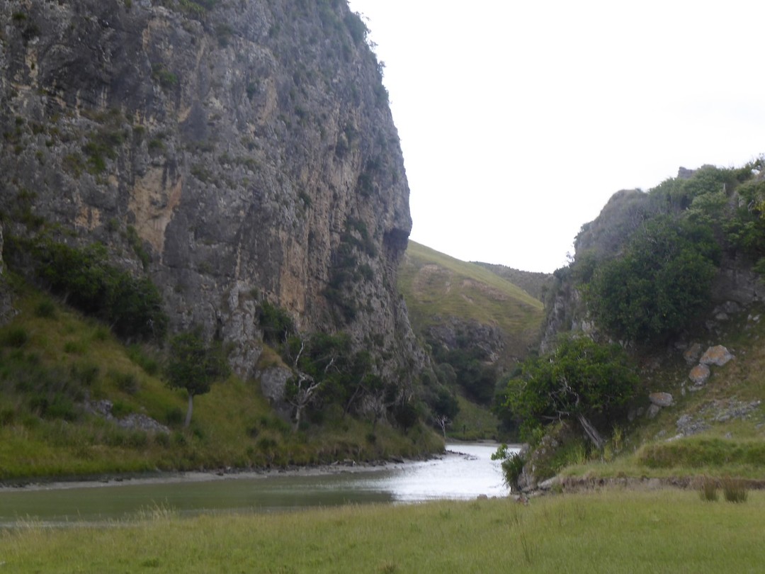 NZ view
