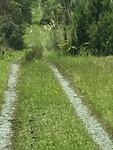 Oss road NZ