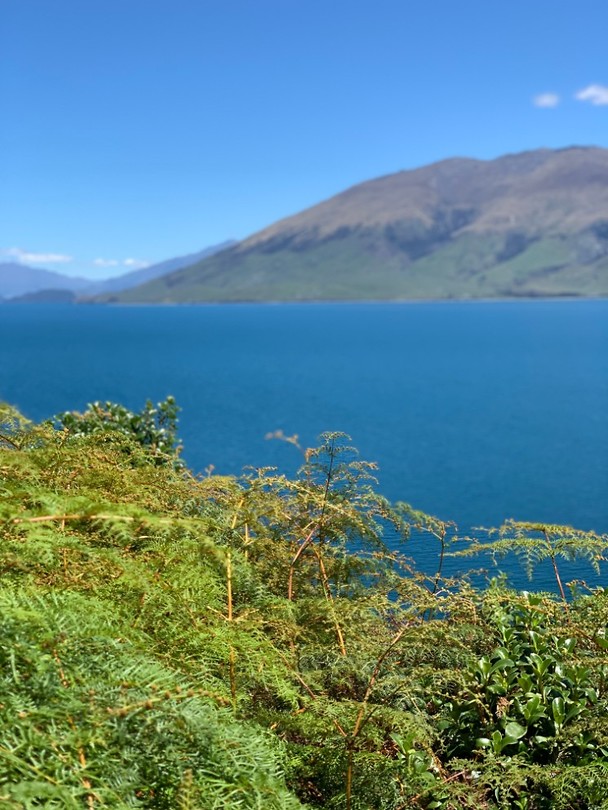 Lake Wanaka