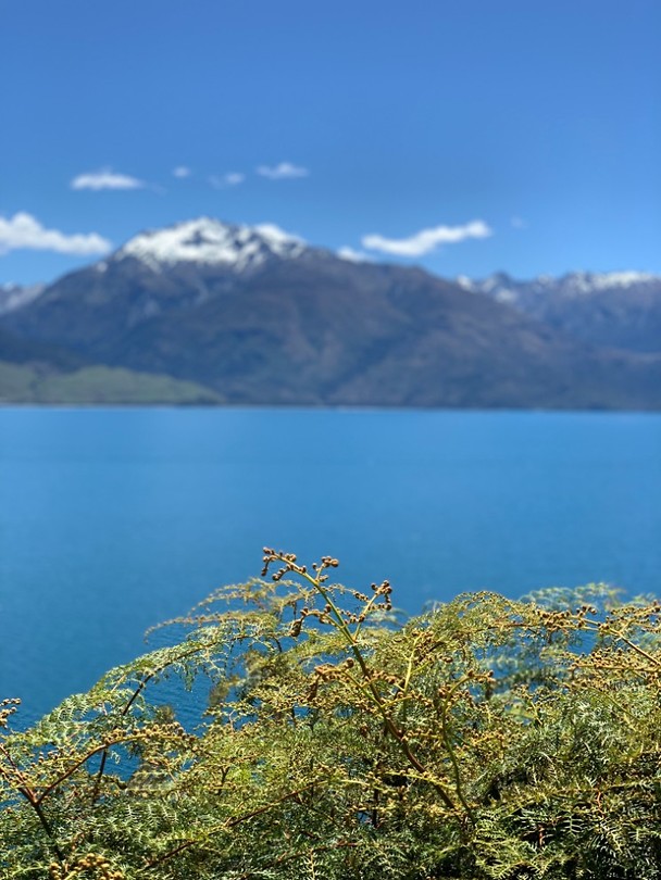 Lake wanaka
