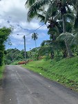 Cook roads