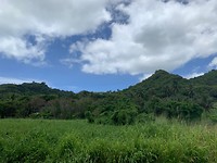 Island view