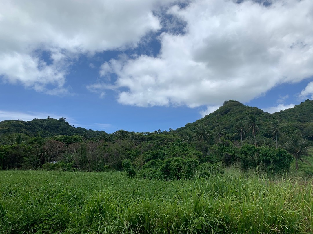 Island view