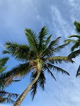 Look up to the sky