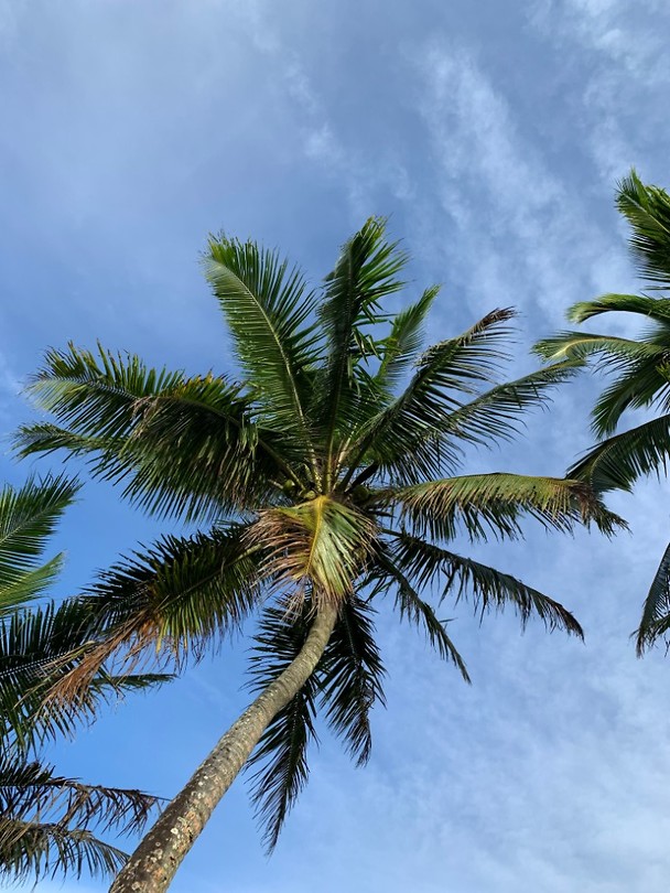 Look up to the sky