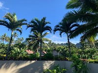 island view