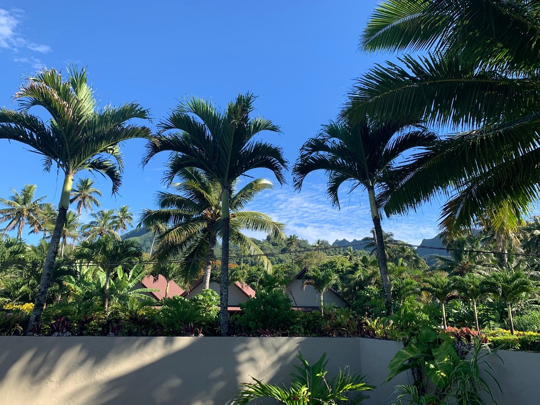 island view