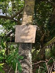cook island crime
