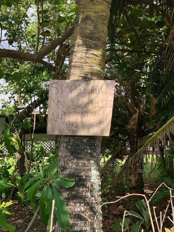 cook island crime