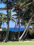 island view