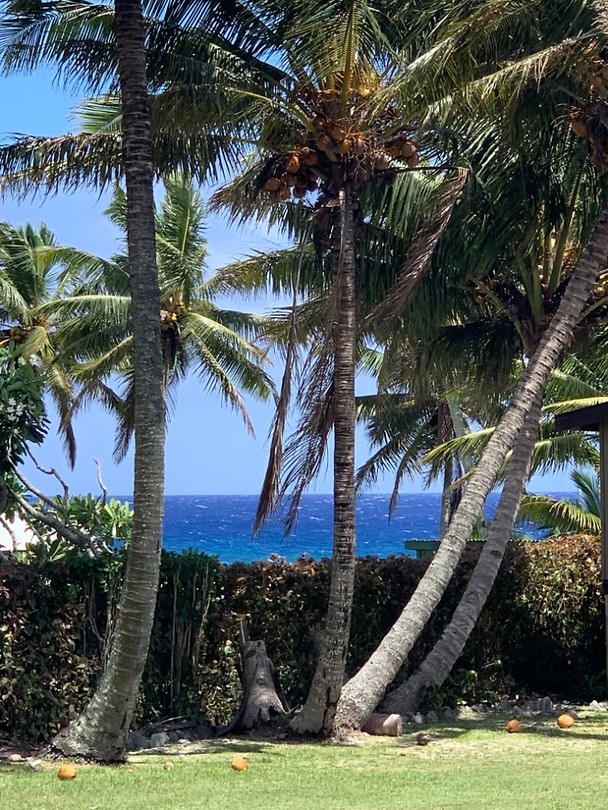 island view