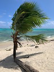 island view