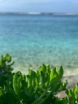 island view
