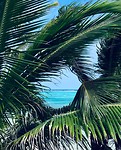 island view
