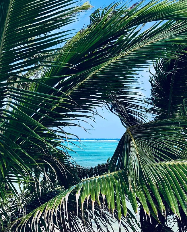 island view