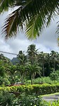 Island view