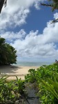 Island view