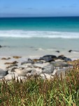 West Australie beach