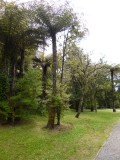 Hunua
