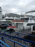 Ferry to Coromandel