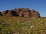 Bungle Bungles