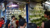 Goldfish Market