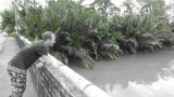 Rivier Trat