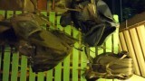 Kleding laten wassen en dus de backpacks even uit laten waaien..