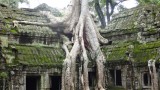 Ta Prohm