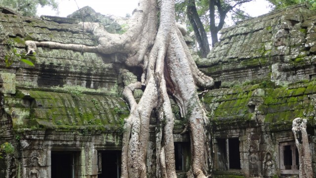 Ta Prohm