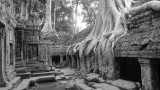 Ta Prohm