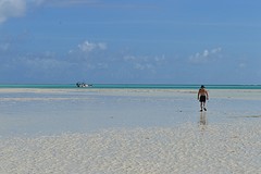 Drooggevallen zee! Stukje wandelen over het riff! Pas op voor zee-egels!