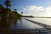 De Suriname Rivier vanaf OverBridge River Resort