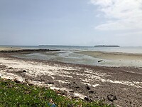 Mbezi Beach bij laag water