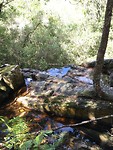 Tsitsikamma