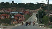 Maseru