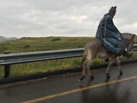 Man Basotho