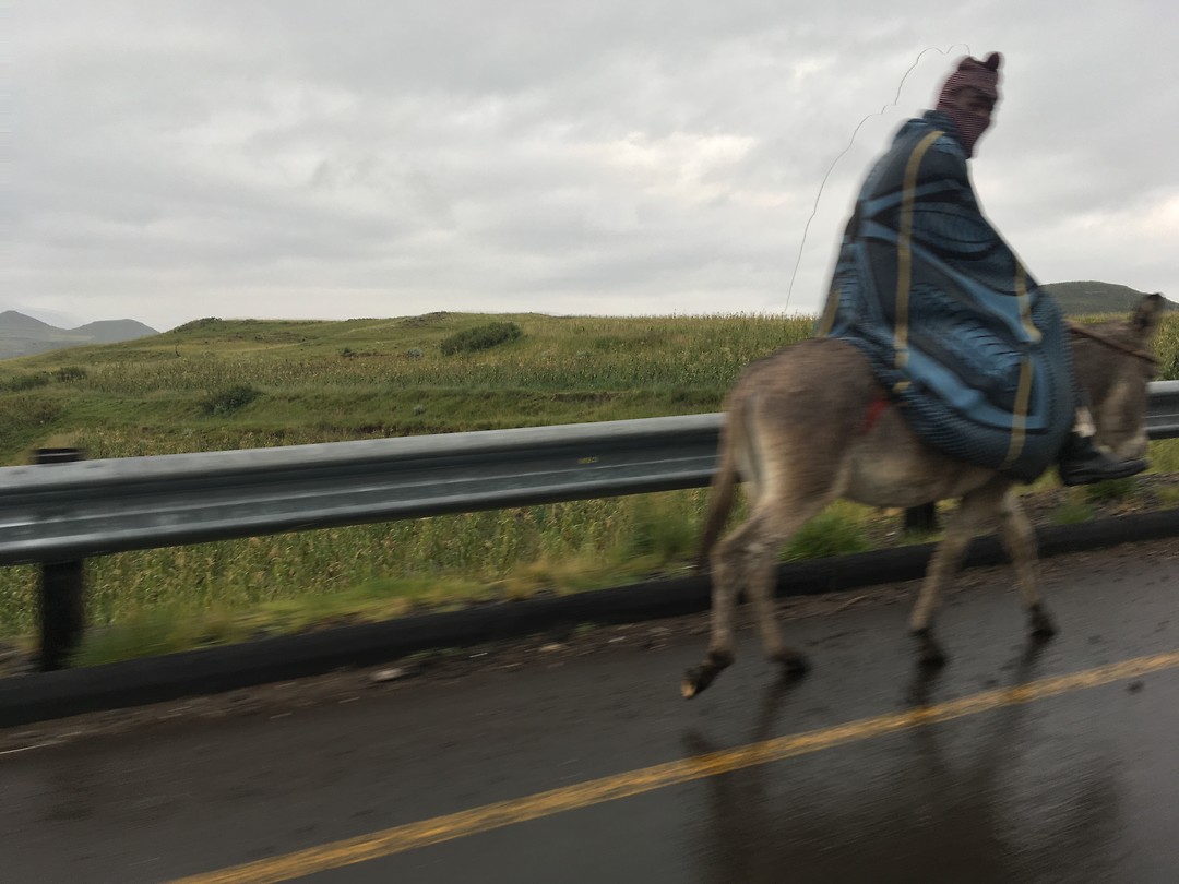 Man Basotho