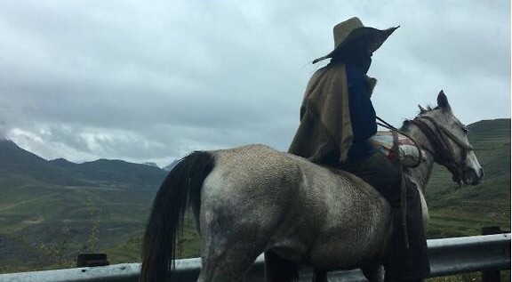 Man te paard