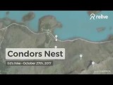 Condors Nest