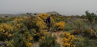 IMG_20220615_131321