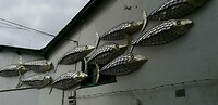 IMG_20220622_112327