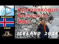 Sneeuwschoenwandeling in Kjarnaskógur