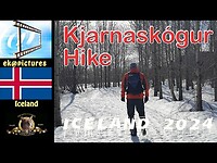 Kjarnaskógur hike