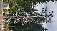 0617-153413 Tsjechië 2024