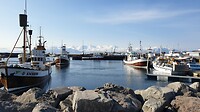 0408-130220 IJsland 2025