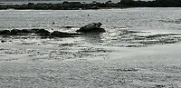 0417-094446 IJsland 2025