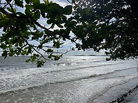 042A5994-6B43-4D24-ADFF-BBC76E117294