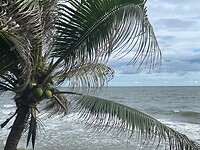 10251541-4FA1-4333-86B9-C8D2CF218C4E